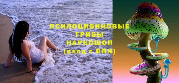 герыч Новодвинск