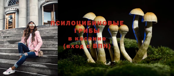apvp Новозыбков